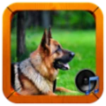 dog sounds android application logo